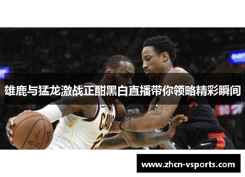 雄鹿与猛龙激战正酣黑白直播带你领略精彩瞬间